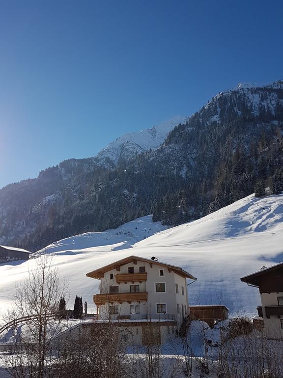 Apartmán Haus Enzian Mittersill Exteriér fotografie